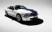 Shelby Shelby Cobra GT500 Widescreen Picture #51